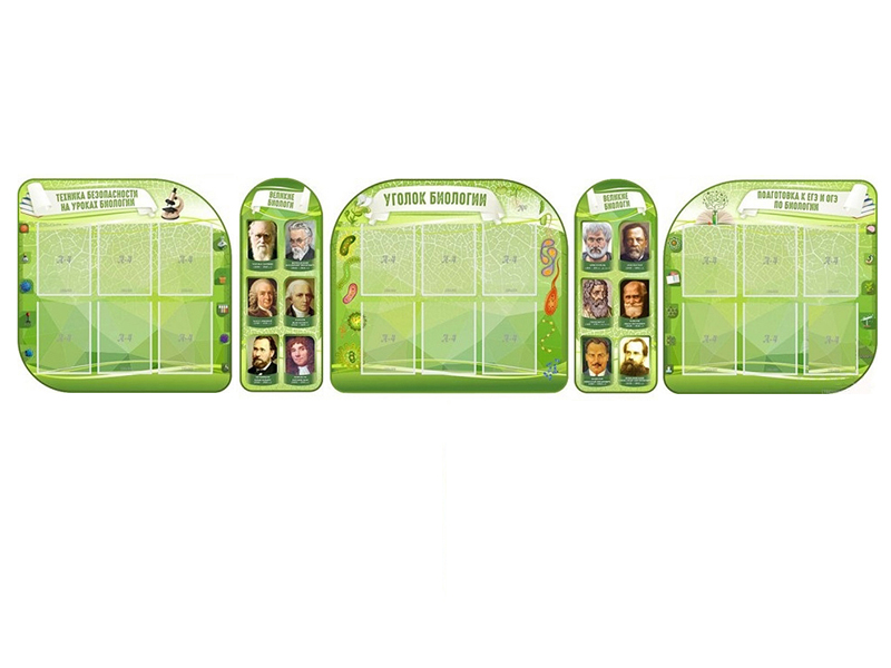 Комплект для кабинета биологии из 5-ти резных стендов