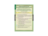 Плакаты "Правоведение. Избирательное право" (10 шт)