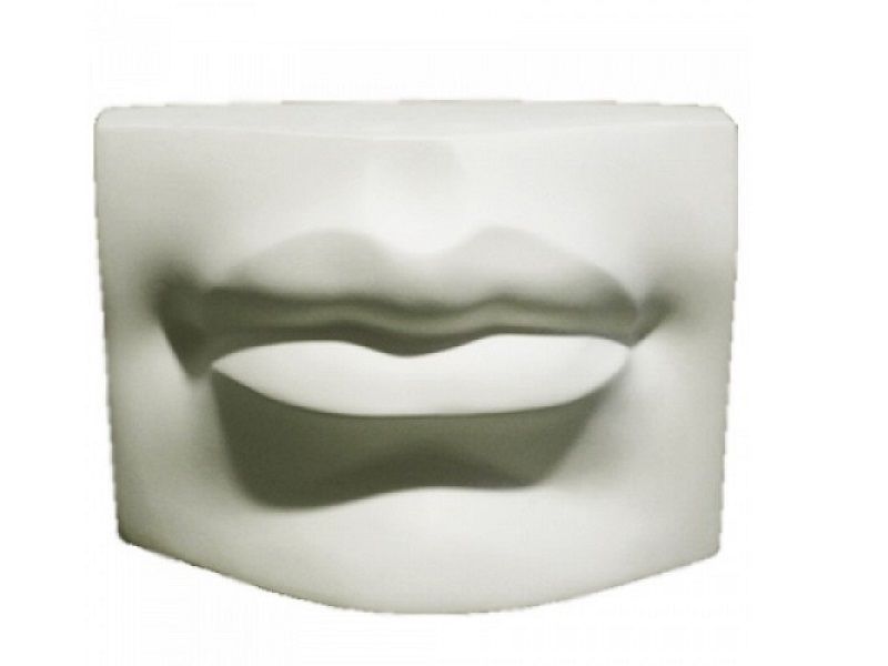 Гипсовая модель губ человека, увеличенная
