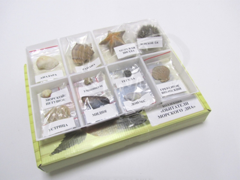 Коллекция "Обитатели морского дна"