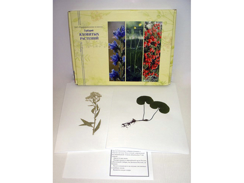 Гербарий "Ядовитые растения"