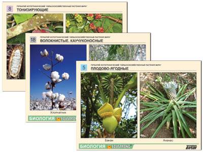 Гербарий фотографический Сельскохозяйственные растения мира