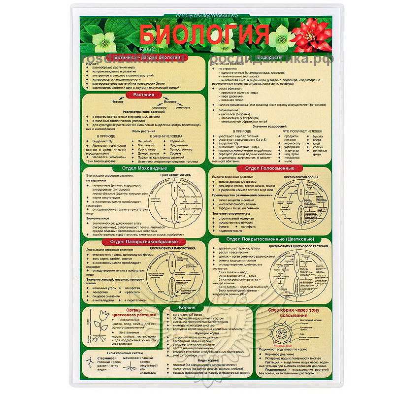 Комплект раздаточных таблиц по биологии