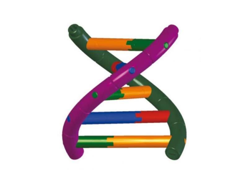 Школьный набор Модель двойной спирали ДНК