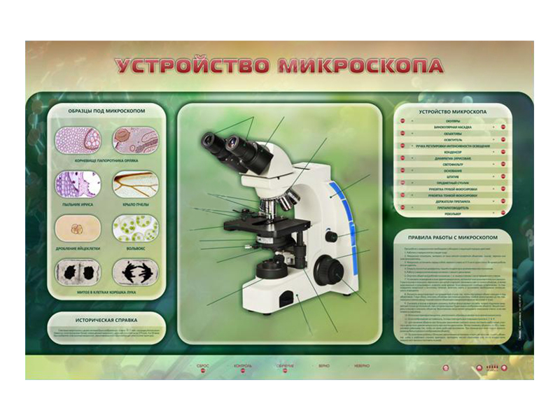 Электрифицированный стенд "Устройство микроскопа и правила работы c ним"