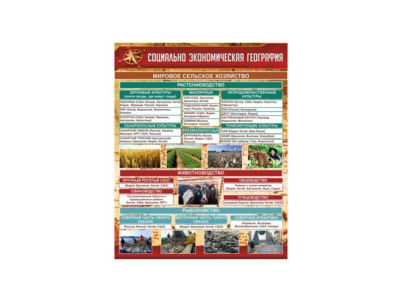 СТЕНД СОЦИАЛЬНО-ЭКОНОМИЧЕСКАЯ ГЕОГРАФИЯ. СЕЛЬСКОЕ ХОЗЯЙСТВО