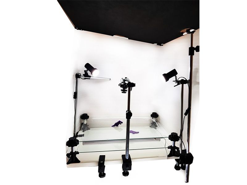 Мультстудия Юниор