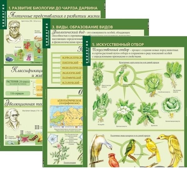 Комплект таблиц «Биология. Эволюционное учение» — 10 листов