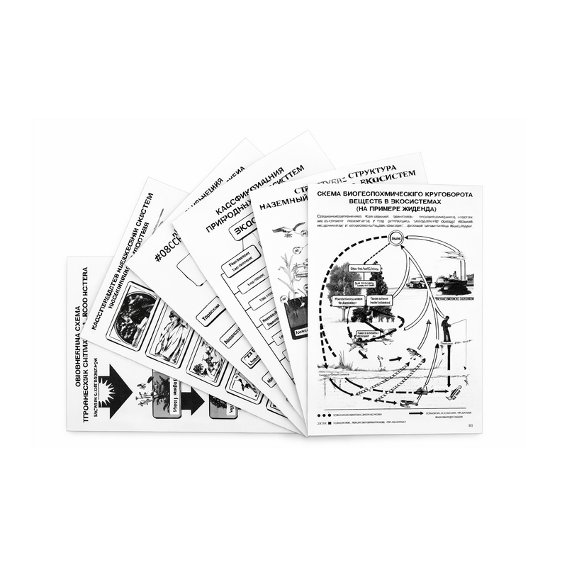 Комплект таблиц по экологии "Экосистема-экологическая единица окружающей среды" А4