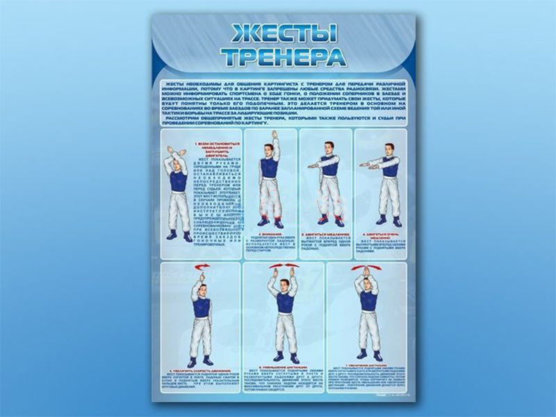 Стенд по ПДД Жесты тренера, 70х100 см