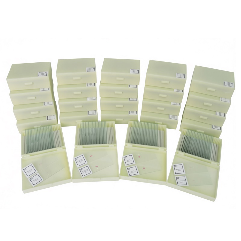 Комплект микропрепаратов Анатомия‑Проф — на 20 учеников