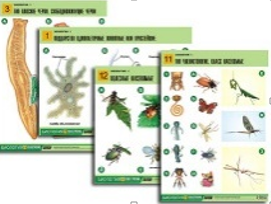 Таблицы по биологии Зоология-1, 14 шт.