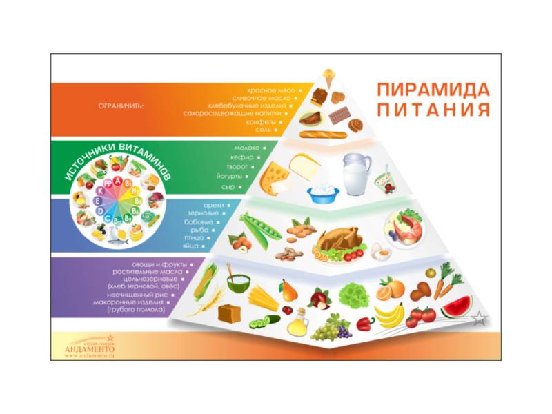 Стенд для школьной столовой Пирамида питания