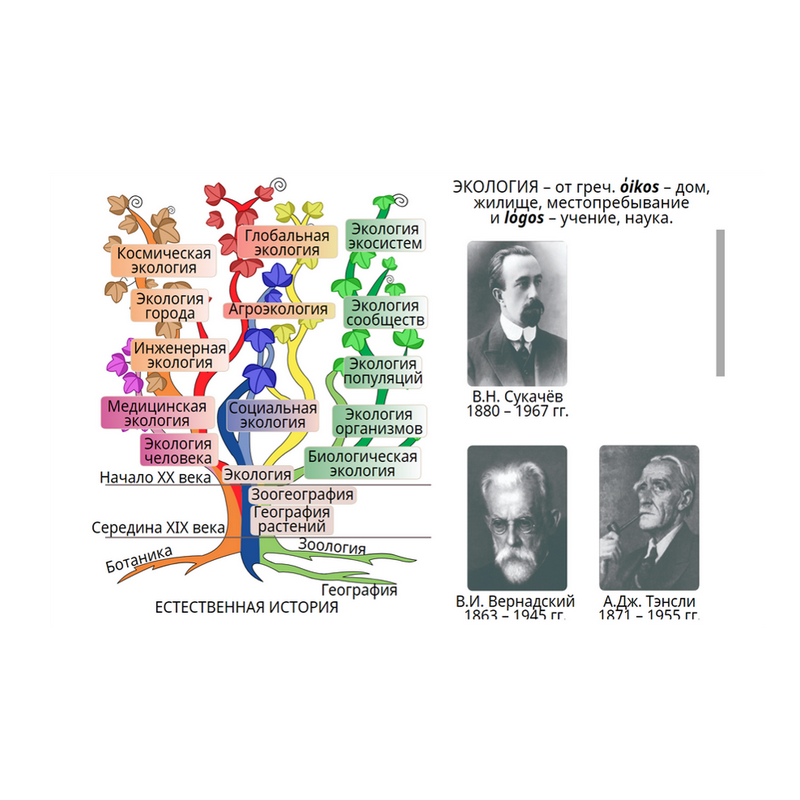 Электронные образовательные ресурсы