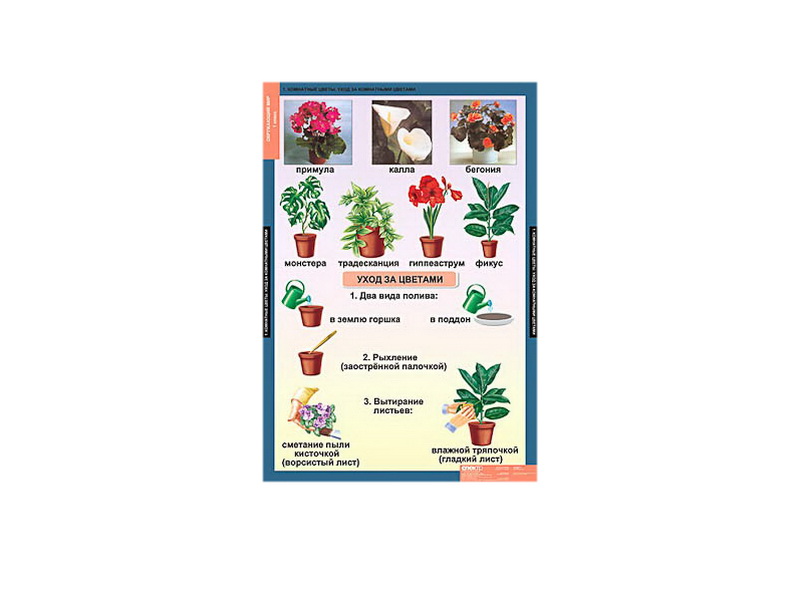 Комплект Таблицы демонстрационные "Окружающий мир", 1-4 кл.