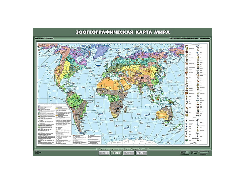 Учебная карта "Зоогеографическая карта мира", 100х140