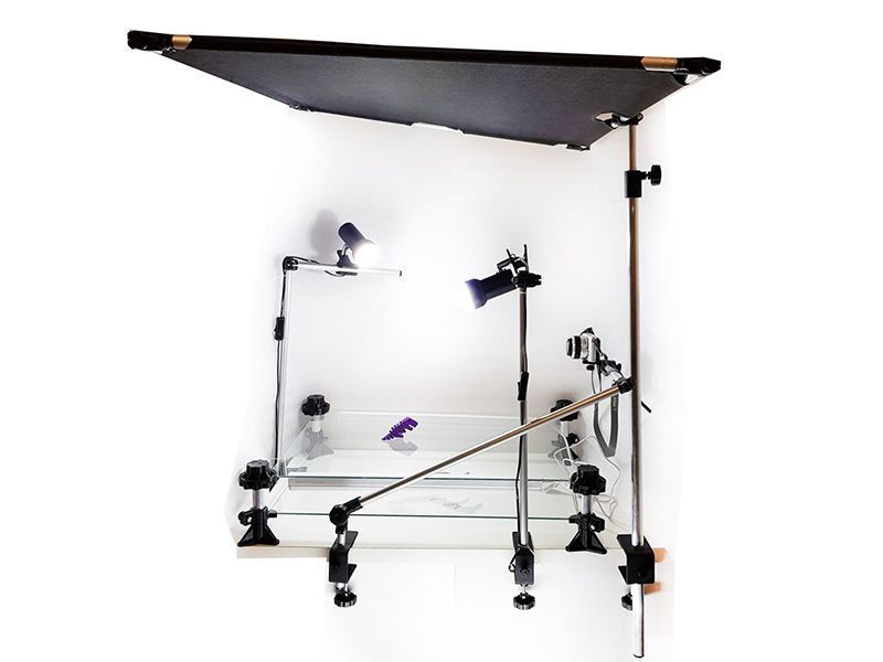 Мультстудия Профессионал