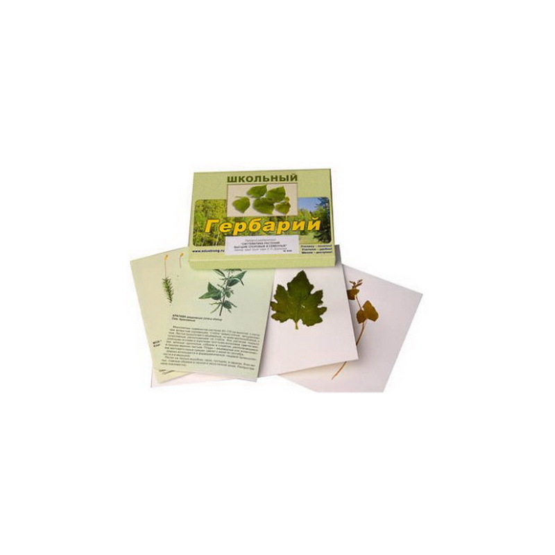 Гербарий "Систематика растений. Высшие споровые и семенные"