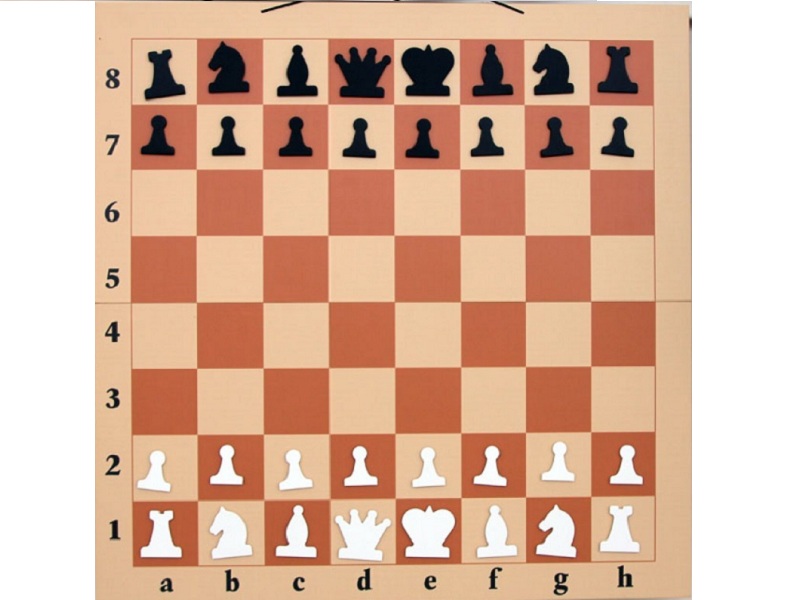 Мобильная магнитная демонстрационная шахматная доска 80 см