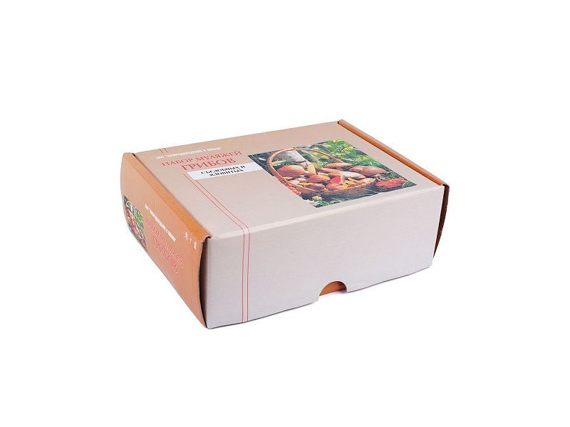 Набор грибов съедобных и ядовитых, 7 шт.