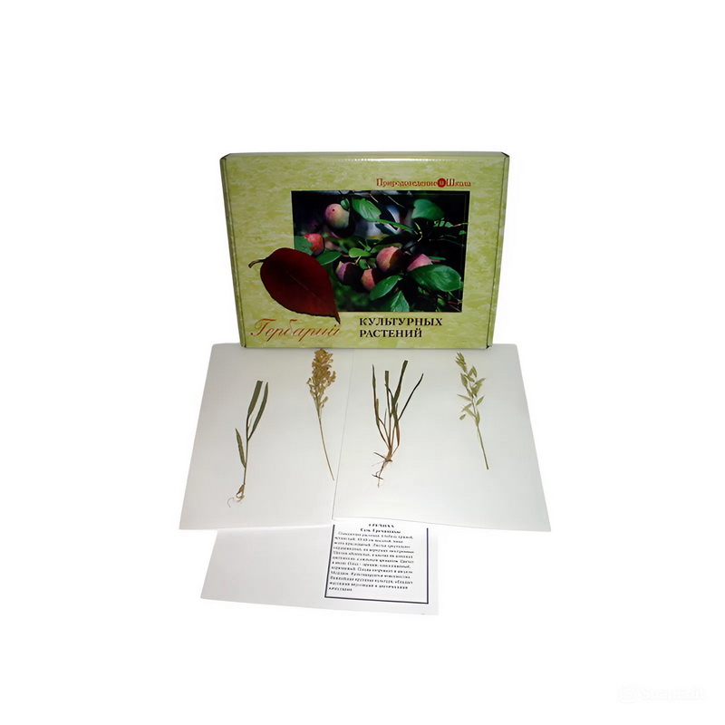 Комплект гербариев "Биология растений"