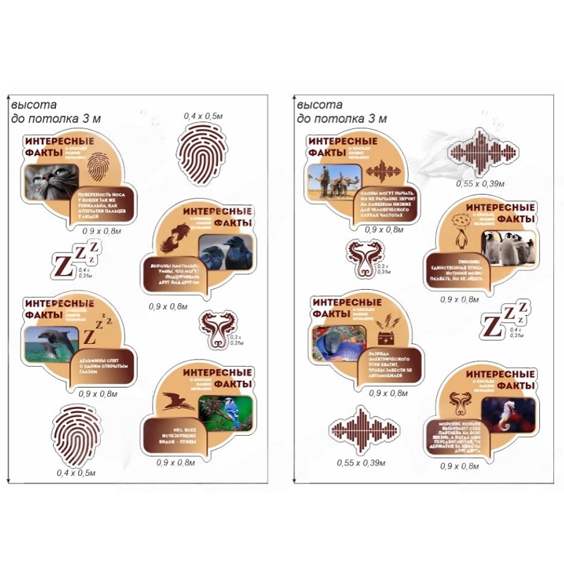 Стенды «Интересные факты о животных» 0,9×0,8 м