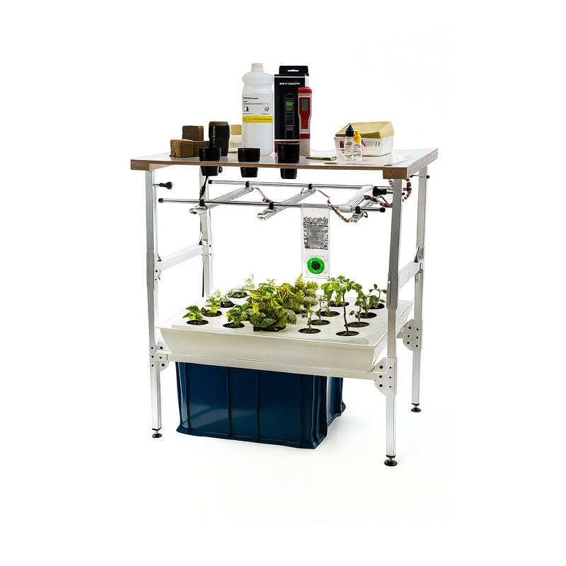 Комплект лабораторного оборудования «От зародыша до взрослого растения (организма)» Тип 2