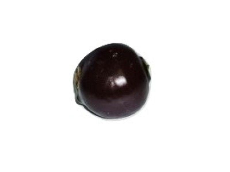 Муляж «Свекла» учебный натуральной формы