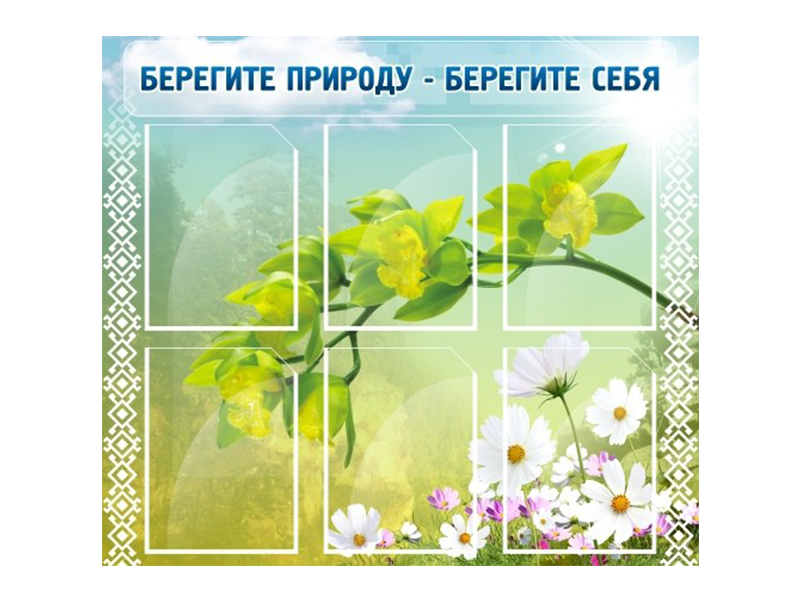 Стенд Берегите природу - берегите себя