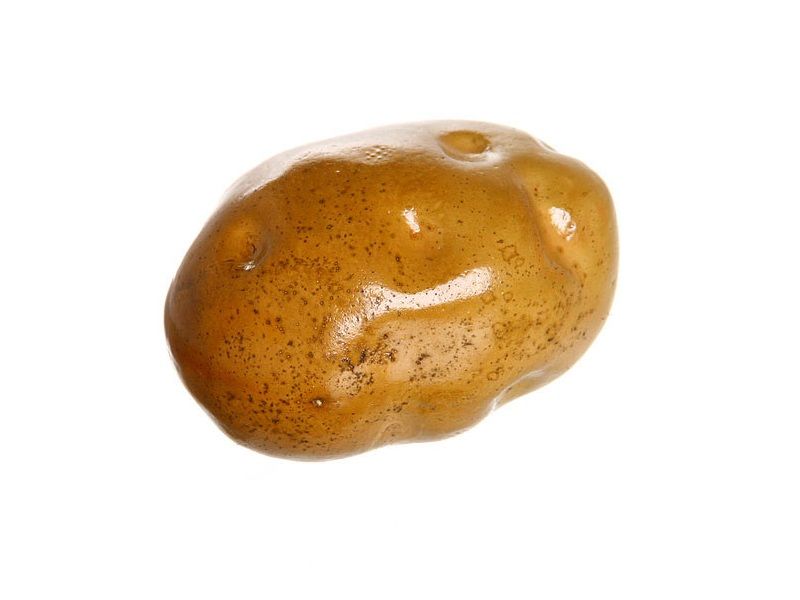 Муляж картофеля натуральной величины