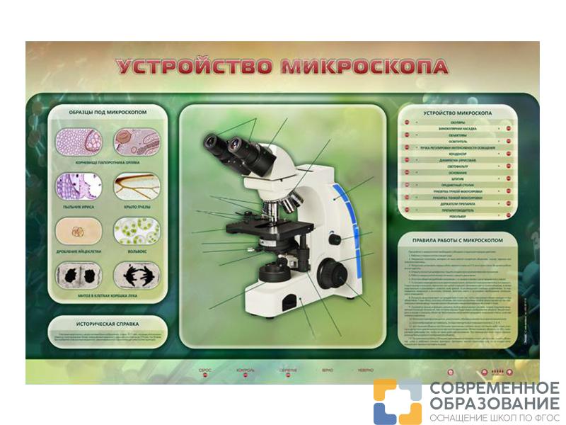 Электрифицированный стенд "Устройство микроскопа и правила работы c ним"