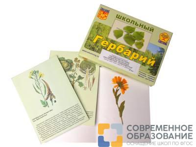 Гербарий "Систематика растений. Семейство Пасленовые. Крестоцветные. Сложноцветные" (раздаточный)