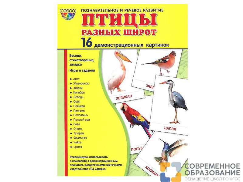 Демонстрационные картинки "Птицы разных широт"