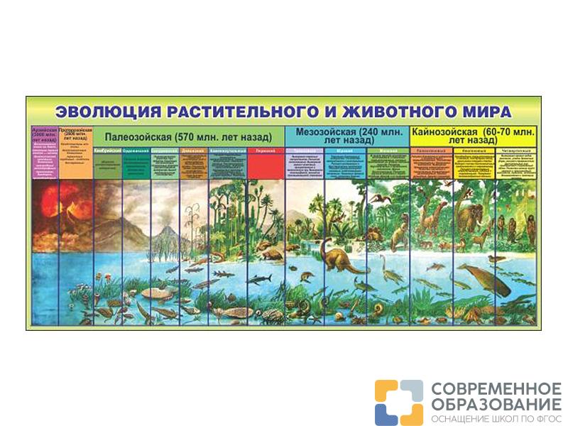 Стенд Эволюция растительного и животного мира