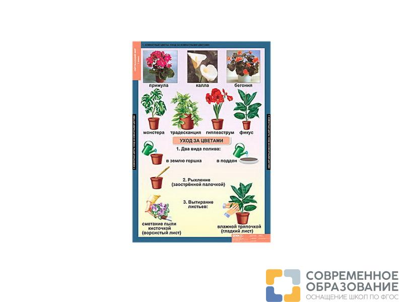 Комплект Таблицы демонстрационные "Окружающий мир", 1-4 кл.