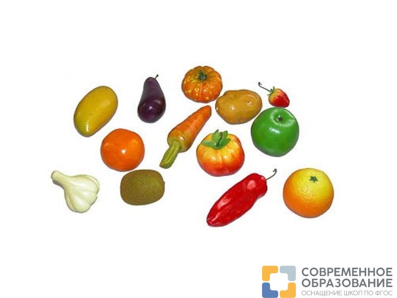 Набор муляжей для рисования с палитрой