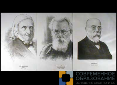 Портреты биологов А3, 26 шт.