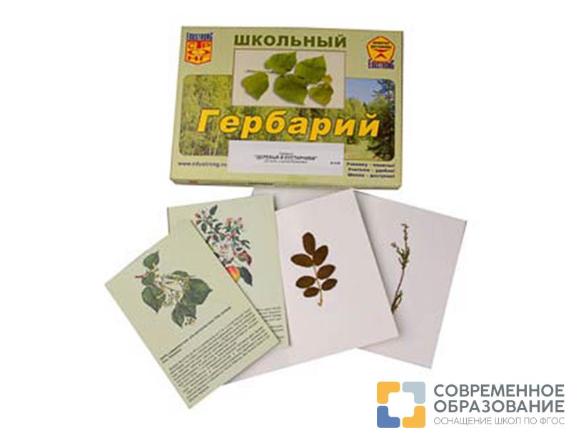 Гербарий "Деревья и кустарники" (22 вида, с иллюстрациями)