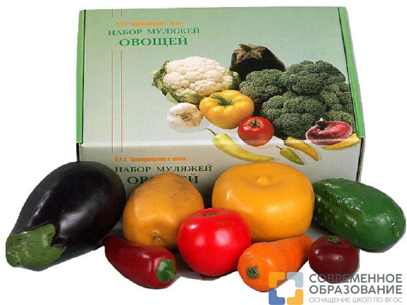 Набор муляжей овощей