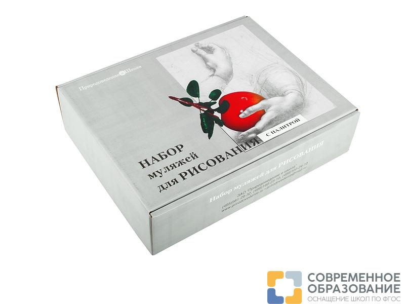 Набор муляжей для рисования с палитрой
