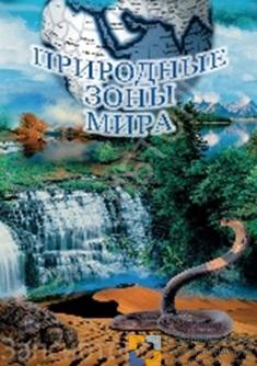DVD "Природные зоны мира" (учебный фильм)