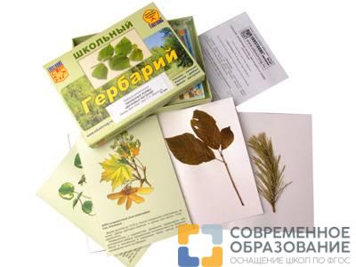 Гербарий "Жизненные формы цветковых растений" (раздаточный)