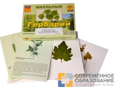 Гербарий "Систематика растений. Высшие споровые и семенные" (раздаточный)