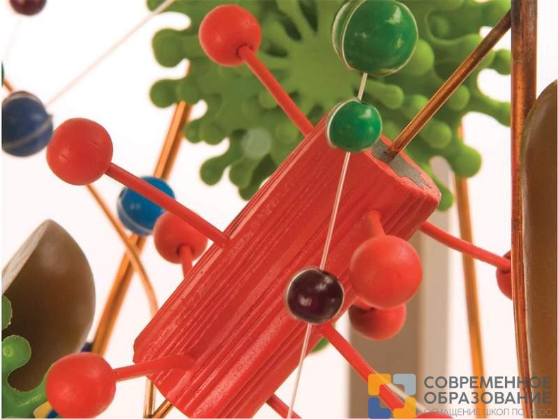 Стеклянная модель клетки, увеличенной в 40000 раз