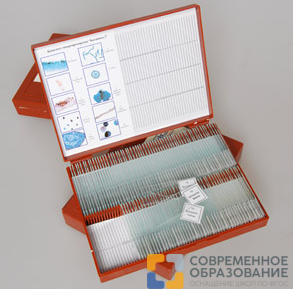 комплект микропрепаратов ботаника 2 Комплект микропрепаратов Ботаника 2