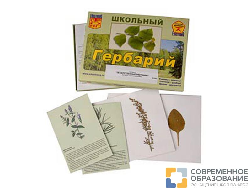 Гербарий "Лекарственные растения" (22 вида, с иллюстрациями)