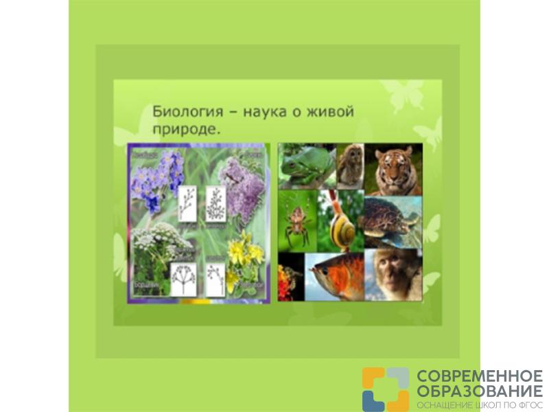 Комплект коллекций по биологии (19 коллекций)
