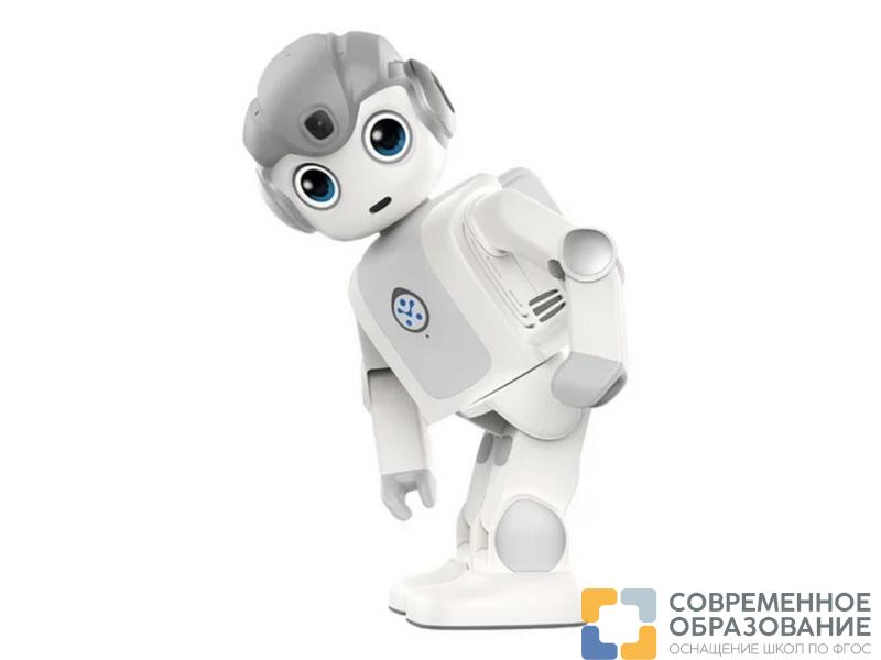 Гуманоидный робот Alpha MINI