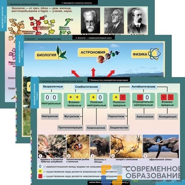 Комплект таблиц "Введение в экологию" (18 шт)