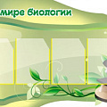 стенды информационные по биологии и экологии Стенды информационные по биологии и экологии